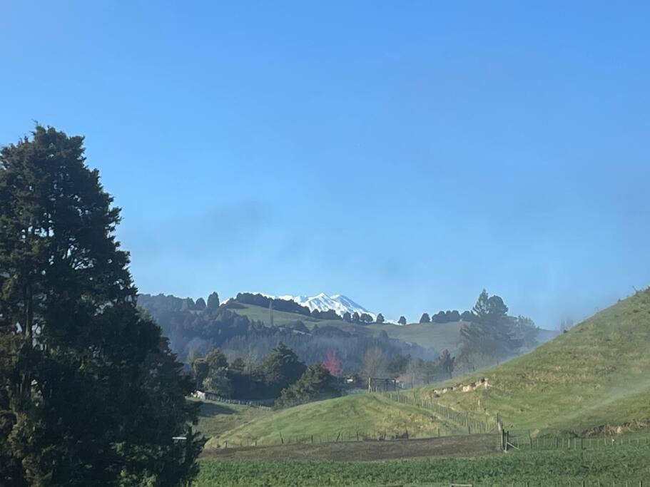 Bush Cabin Your Own Place Stunning Views Taumarunui Eksteriør bilde