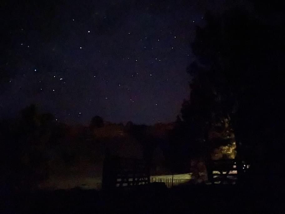 Bush Cabin Your Own Place Stunning Views Taumarunui Eksteriør bilde